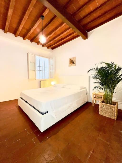 Casa Centro Firenze Wi Fi Aria Condizionata Netflix Apartman Kültér fotó