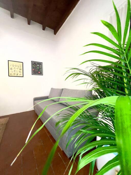 Casa Centro Firenze Wi Fi Aria Condizionata Netflix Apartman Kültér fotó