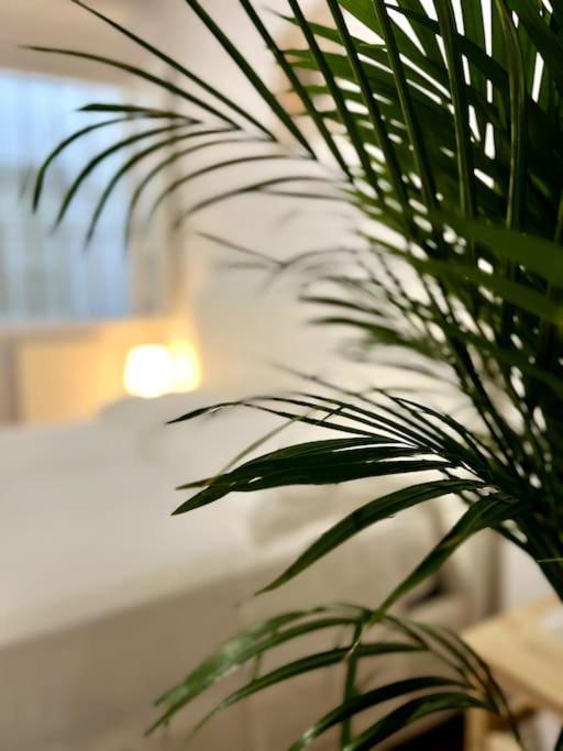 Casa Centro Firenze Wi Fi Aria Condizionata Netflix Apartman Kültér fotó